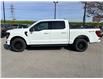 2026 Ford F-150 XLT (Stk: 2604240) in Ottawa - Image 3 of 28 2026 Ford F-150 XLT (Stk: 2604240) in Ottawa - Image 3 of 28
