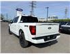 2026 Ford F-150 XLT (Stk: 2604240) in Ottawa - Image 4 of 28 2026 Ford F-150 XLT (Stk: 2604240) in Ottawa - Image 4 of 28