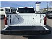 2026 Ford F-150 XLT (Stk: 2604240) in Ottawa - Image 6 of 28 2026 Ford F-150 XLT (Stk: 2604240) in Ottawa - Image 6 of 28