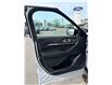 2026 Ford Explorer Tremor (Stk: 2604310) in Ottawa - Image 6 of 33