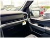 2026 Ford F-150 XLT (Stk: 2604060) in Ottawa - Image 13 of 30