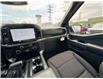 2026 Ford F-150 XLT (Stk: 2604060) in Ottawa - Image 14 of 30