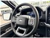 2026 Ford F-150 XLT (Stk: 2604060) in Ottawa - Image 21 of 30