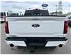 2026 Ford F-150 Tremor (Stk: 2604410) in Ottawa - Image 9 of 35