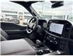 2026 Ford F-150 Tremor (Stk: 2604410) in Ottawa - Image 16 of 35
