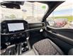 2026 Ford F-150 Tremor (Stk: 2604410) in Ottawa - Image 20 of 35