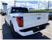 2026 Ford F-150 XLT (Stk: 2604050) in Ottawa - Image 5 of 29