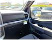 2026 Ford F-150 XLT (Stk: 2604050) in Ottawa - Image 16 of 29