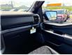 2026 Ford F-150 Tremor (Stk: 2604960) in Ottawa - Image 15 of 33