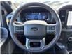 2026 Ford F-150 Tremor (Stk: 2604960) in Ottawa - Image 24 of 33