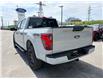 2026 Ford F-150 STX (Stk: 2605450) in Ottawa - Image 5 of 31