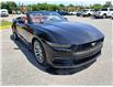 2026 Ford Mustang  (Stk: 2604910) in Ottawa - Image 3 of 22