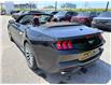 2026 Ford Mustang  (Stk: 2604910) in Ottawa - Image 5 of 22