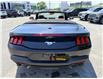 2026 Ford Mustang  (Stk: 2604910) in Ottawa - Image 6 of 22