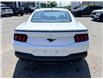 2026 Ford Mustang  (Stk: 2605070) in Ottawa - Image 6 of 20