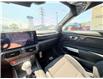 2026 Ford Mustang  (Stk: 2605070) in Ottawa - Image 10 of 20