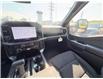 2026 Ford F-150 XLT (Stk: 2605700) in Ottawa - Image 16 of 29