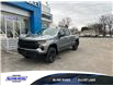 2025 Chevrolet Silverado 1500 Custom Trail Boss (Stk: 31149B) in Blind River - Image 1 of 5