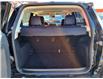 2020 Ford EcoSport Titanium (Stk: 15888) in SASKATOON - Image 6 of 28