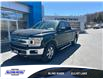 2019 Ford F-150  (Stk: 31275) in Blind River - Image 1 of 4
