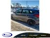 2015 Ford Focus SE (Stk: 23075A) in Espanola - Image 4 of 7