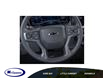 2025 Chevrolet Silverado 1500 LT Trail Boss (Stk: 26149E) in Espanola - Image 19 of 24