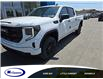2025 GMC Sierra 1500 Pro (Stk: 26494G) in Espanola - Image 1 of 4