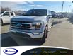 2023 Ford F-150  (Stk: 27131E) in Espanola - Image 1 of 11