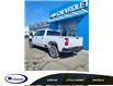 2023 Chevrolet Silverado 2500HD Custom (Stk: 23088) in Espanola - Image 3 of 8