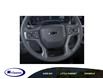 2025 Chevrolet Silverado 2500HD LT (Stk: 26220E) in Espanola - Image 19 of 24