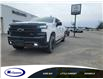 2019 Chevrolet Silverado 1500 LT Trail Boss (Stk: 19264E) in Espanola - Image 1 of 11