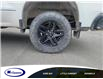 2019 Chevrolet Silverado 1500 LT Trail Boss (Stk: 19264E) in Espanola - Image 5 of 11
