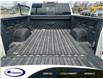 2019 Chevrolet Silverado 1500 LT Trail Boss (Stk: 19264E) in Espanola - Image 11 of 11