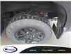 2025 Chevrolet Silverado 1500 LT Trail Boss (Stk: 26231E) in Espanola - Image 4 of 6