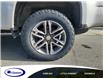 2019 Chevrolet Colorado WT (Stk: 19277E) in Espanola - Image 5 of 9