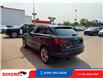 2018 Audi Q3 2.0T Progressiv (Stk: 17501) in Regina - Image 4 of 24