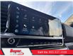 2023 Chevrolet Silverado 1500 LT (Stk: 230185) in Ajax - Image 19 of 26