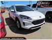 2020 Ford Escape SE (Stk: 301006) in Lethbridge - Image 1 of 9