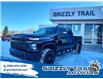 2020 Chevrolet Silverado 2500HD Custom (Stk: 64367) in Barrhead - Image 1 of 11