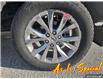 2017 Ford F-150 XLT (Stk: TT4501) in Sarnia - Image 6 of 24