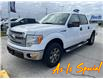 2014 Ford F-150 XLT (Stk: TTR649) in Sarnia - Image 3 of 3