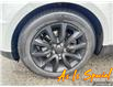 2017 Land Rover Range Rover Sport DIESEL Td6 HSE (Stk: 162153) in London - Image 6 of 18