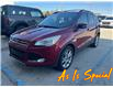 2013 Ford Escape SEL (Stk: TT8407) in Sarnia - Image 1 of 2