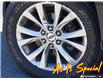 2015 Ford F-150 XLT (Stk: 43443) in Georgetown - Image 9 of 28