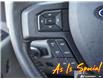 2015 Ford F-150 XLT (Stk: 43443) in Georgetown - Image 19 of 28