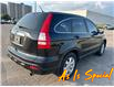 2009 Honda CR-V EX-L (Stk: 1205) in Kitchener - Image 6 of 12