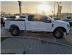 2022 Ford F-250  (Stk: P0462) in Mississauga - Image 5 of 32