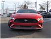 2019 Ford Mustang  (Stk: P3061A) in Mississauga - Image 2 of 25