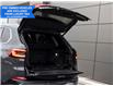 2023 BMW X5 xDrive40i (Stk: B10025B) in Windsor - Image 6 of 30