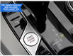 2023 BMW X5 xDrive40i (Stk: B10025B) in Windsor - Image 25 of 30